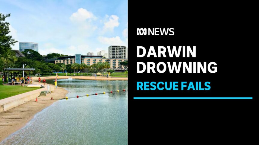 Darwin Drowning, Rescue Fails: Artistic impression of an urban swimming beach.
