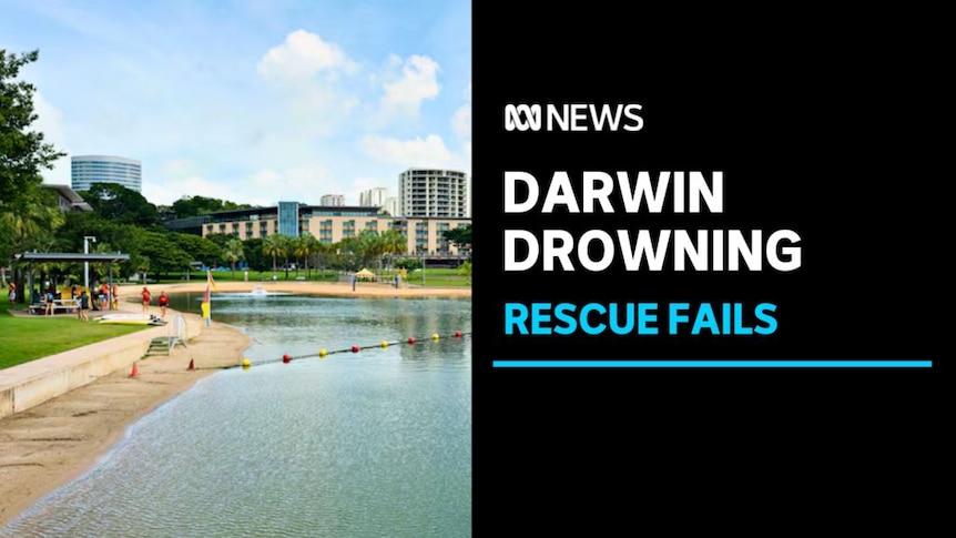 Darwin Drowning, Rescue Fails: Artistic impression of an urban swimming beach.