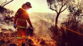 A firefighter conducts a fuel-reduction burn at sunrise or sunset in bushland.