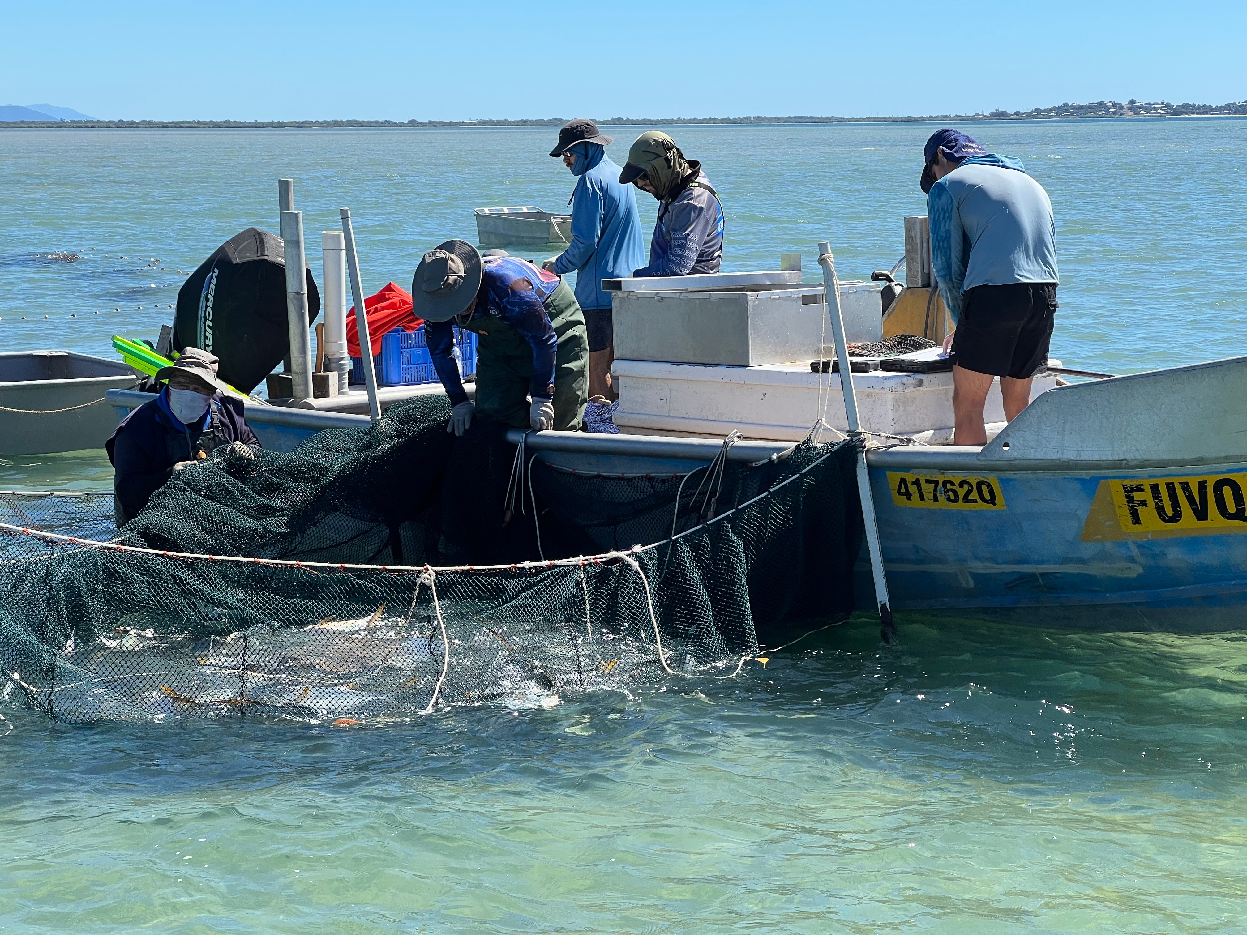 小さな金属製のボートに乗った5人のグループが、網にかかった魚を選り分けている。