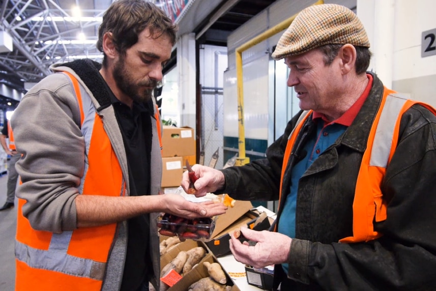 Craig Chard wearing a cap as he looks at finger limes with a bearded man.