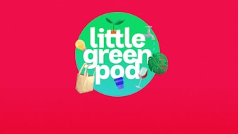 Little Green Pod image