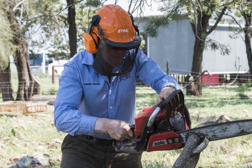 A man wearing a hard hat cuts a tree branch with a chainsaw.