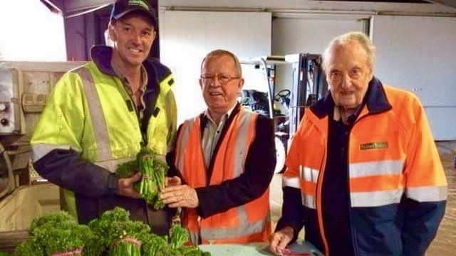 Graeme Pitchford stands next to his father John and Regional Development Minister Geoff Brock in their broccolini nursury.