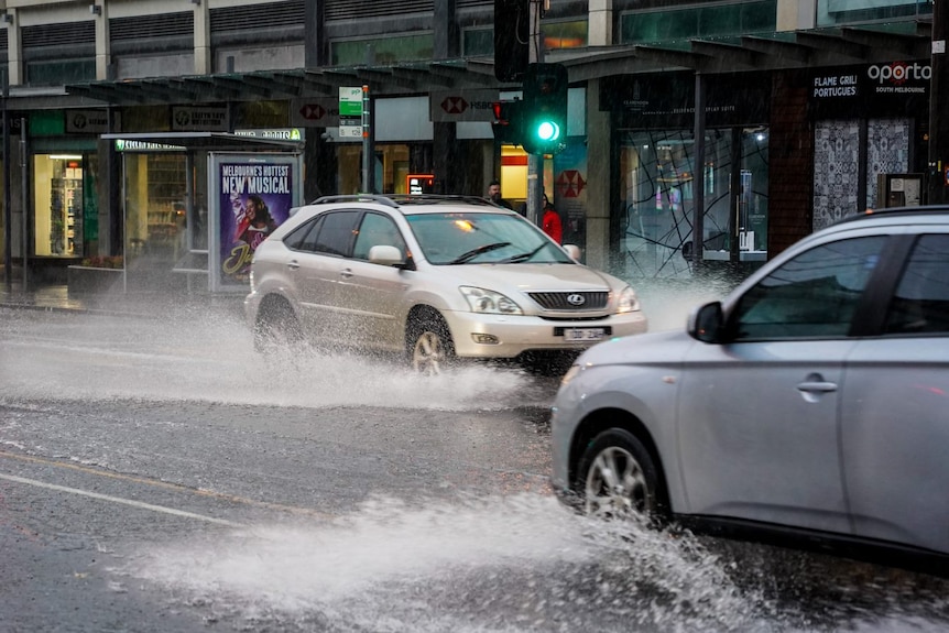 cars in rain