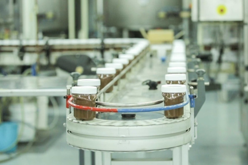 Jars of hazelnut spread going around a factory conveyer belt