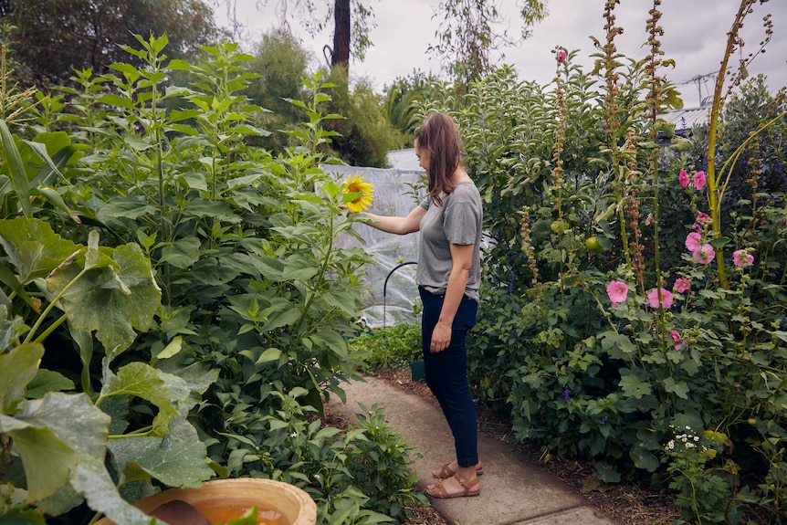 Koren Helbig in her old garden with sunflower