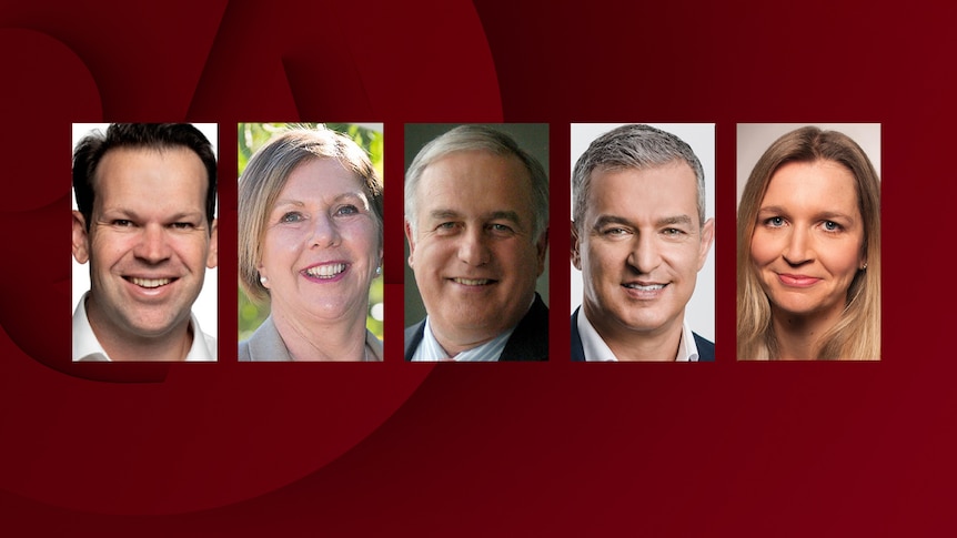 Q+A Panel: Matt Canavan, Catherine King, Alan Kohler, Paul Zahra and Angela Jackson