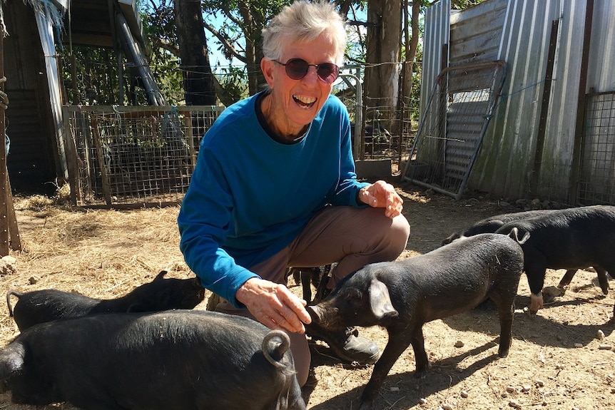 Christina della Valle kneels down with piglets in a pen.