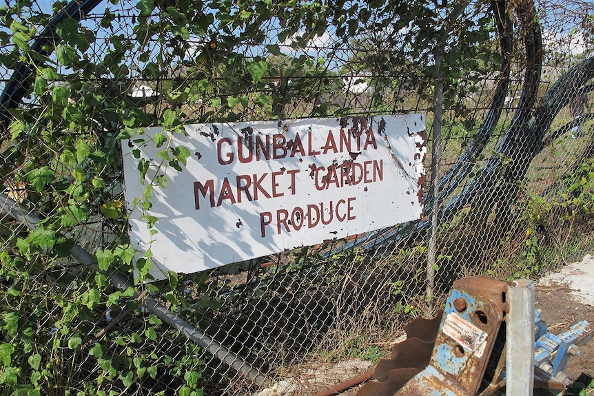 Gunbalanya market garden