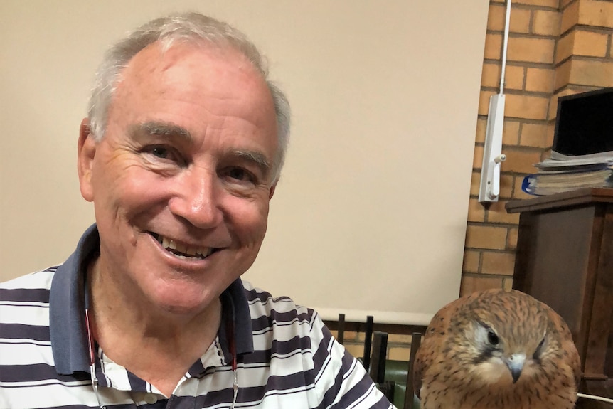 A man holds a kestrel smiling