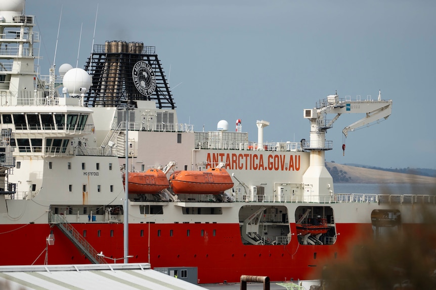 A large white and yellow ship with cranes and lifeboats on the side.