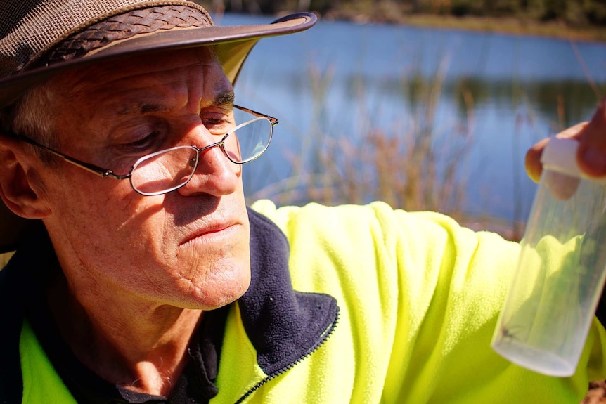 Entomologist Paul Van Heurck examines an insect at the Talison lithium mine in Greenbushes.