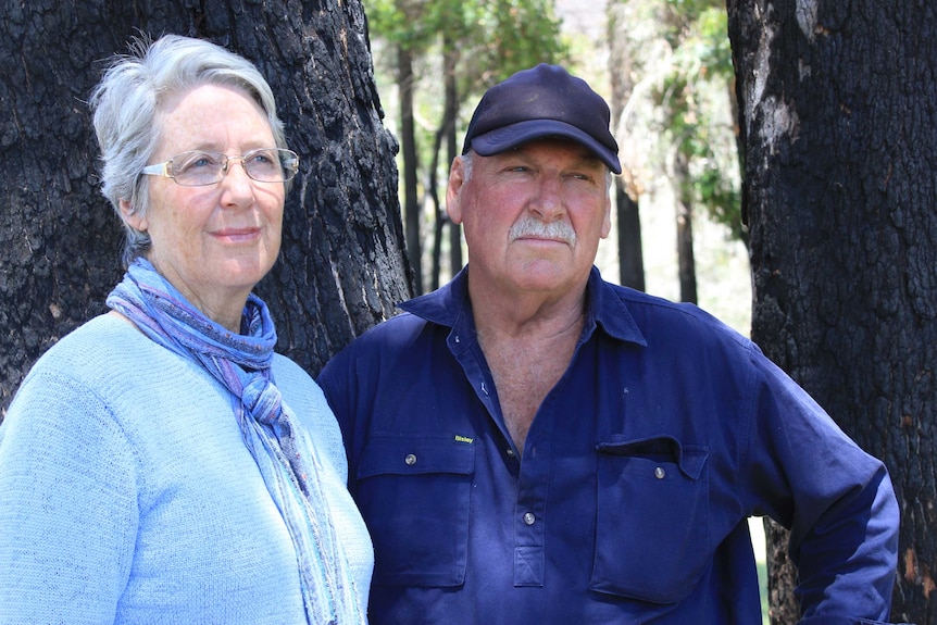 A man and woman stand near burnt tree in paddock