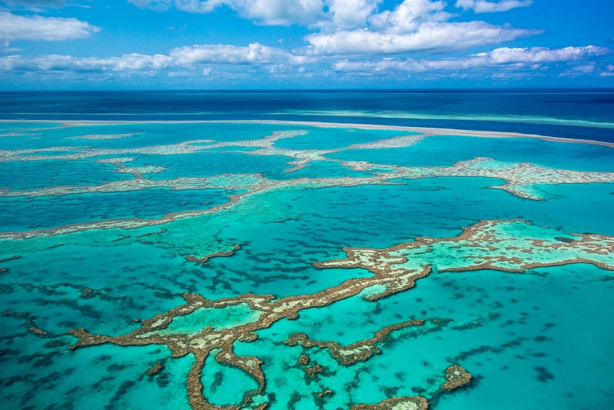 A panorama view of the Great Barrier Reef
