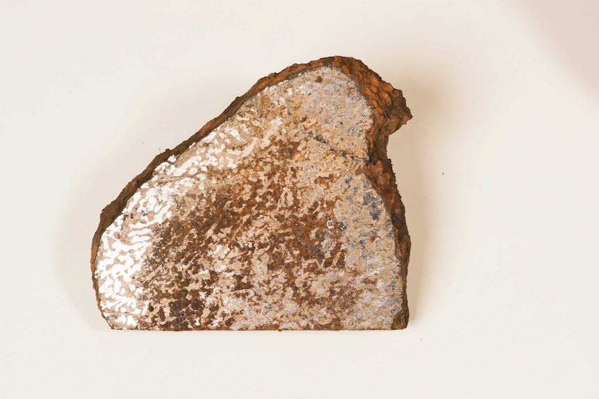 A slice of a meteorite recently acquired by the Queensland Museum