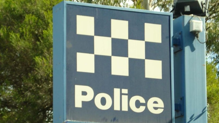 A missing toddler has been found alive in the Gippsland pine forest.