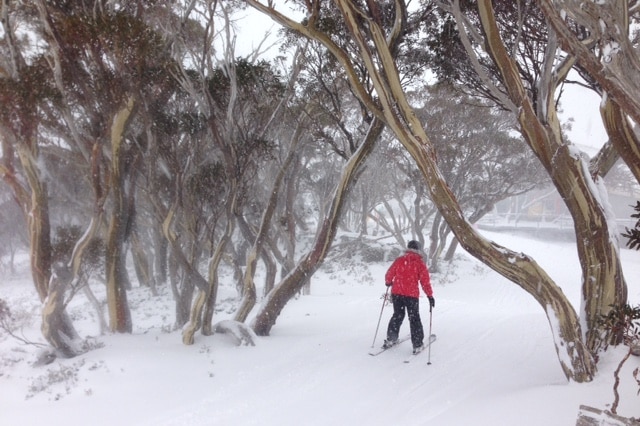 Snow at Perisher