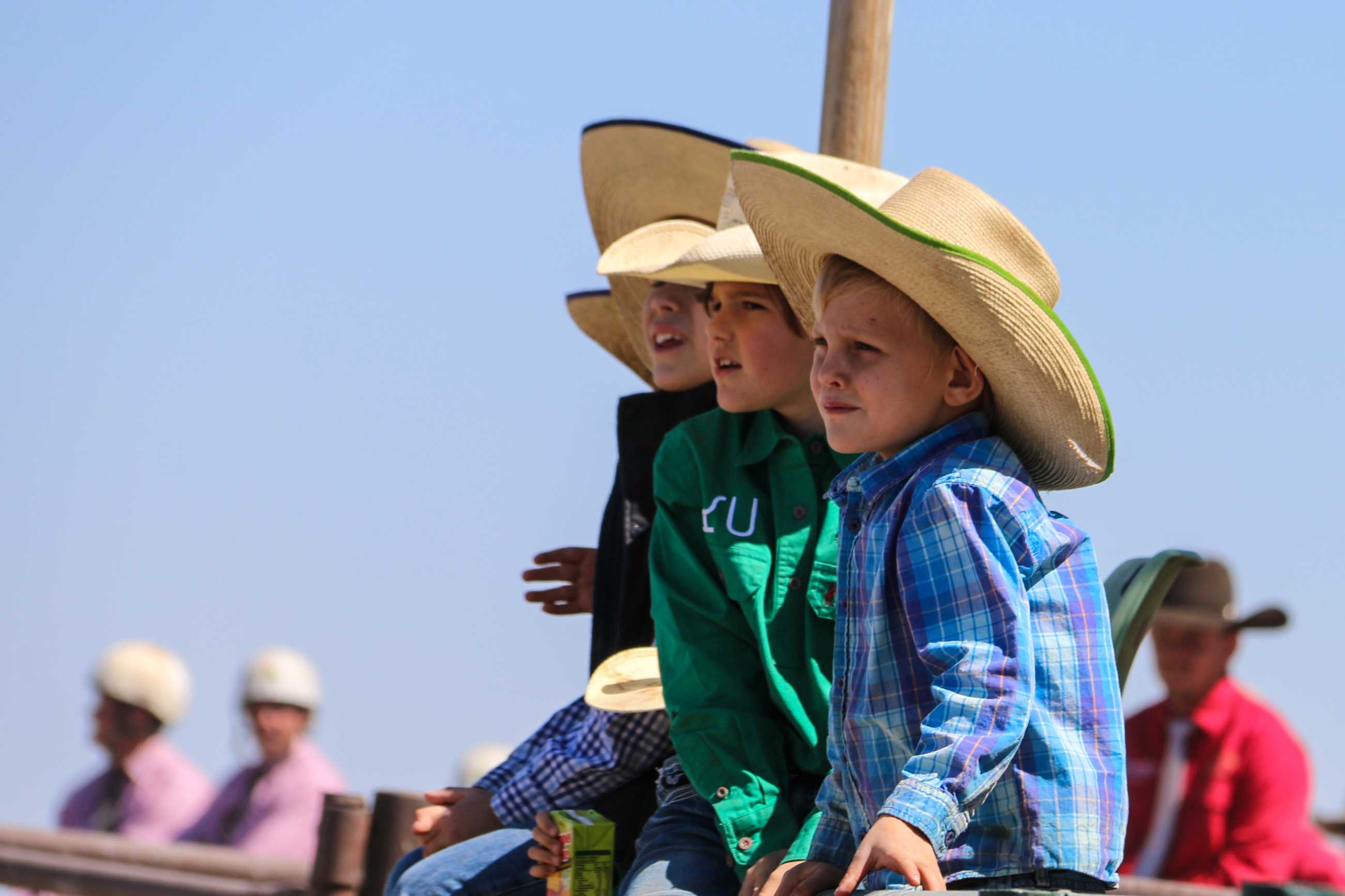 to Spell Bore — the search for the north's top stock camp ABC