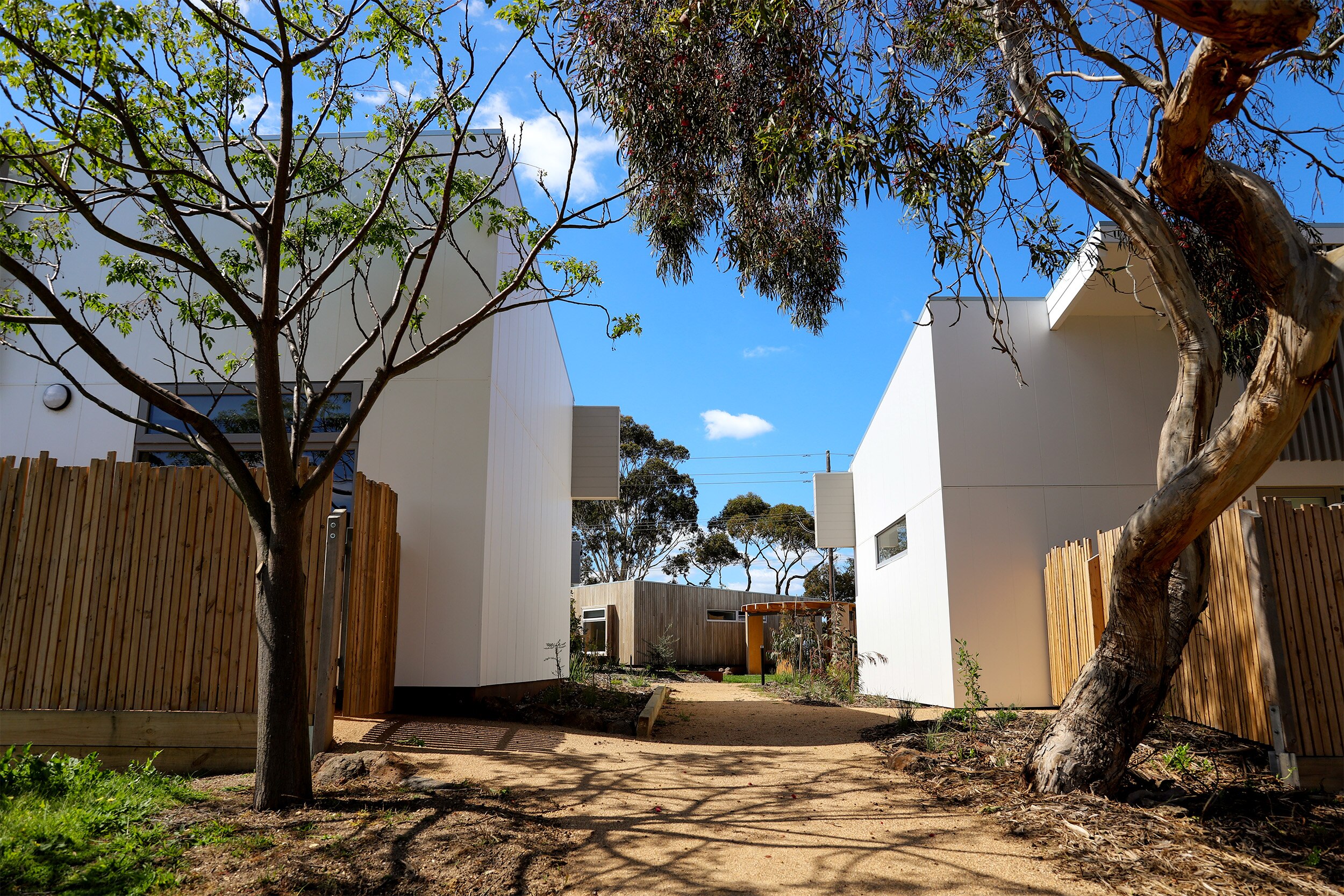 Two trees frame an entrance to a housing development