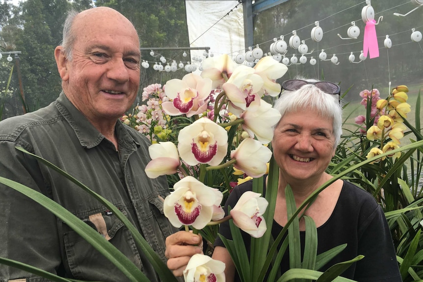 Paul and Sue Jones pose with their beautiful orchids.