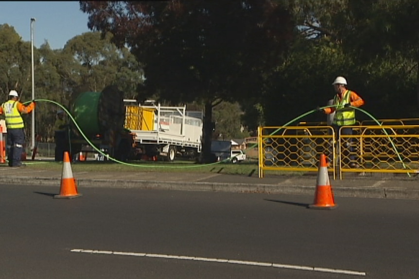 Workers lay the fibre optic cable in Tasmania