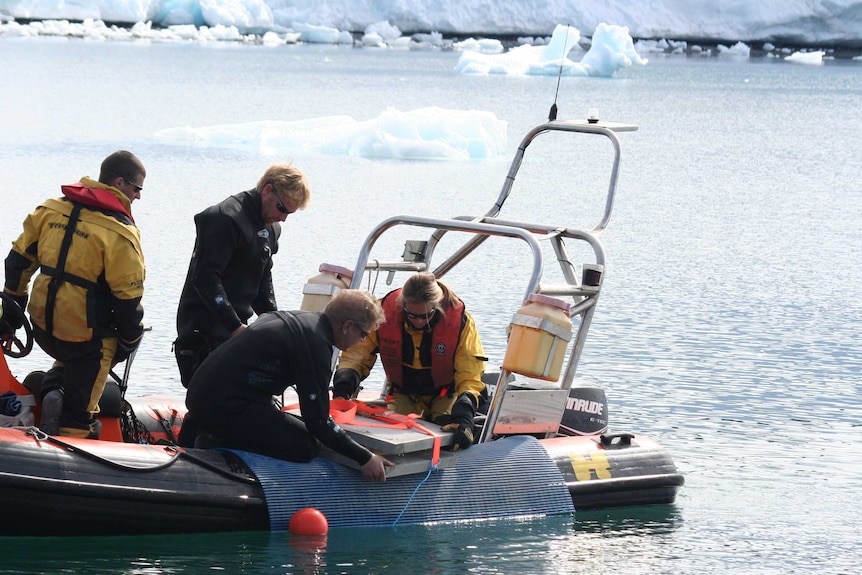 Scientists working on Antarctic waters
