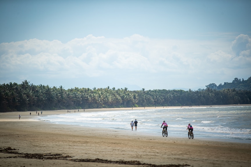 Two mountain bike riders riding along the beach with the rainforest in the background 