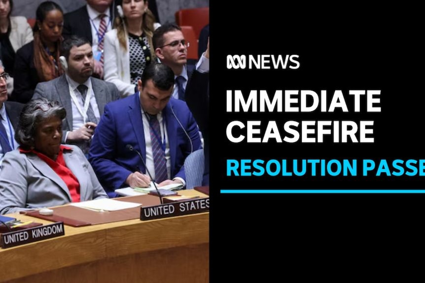 Immediate Ceasefire, Resolution Passes: United States' Ambassador to the UN.