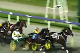 A still from a video of a harness race with a shoe thrown.