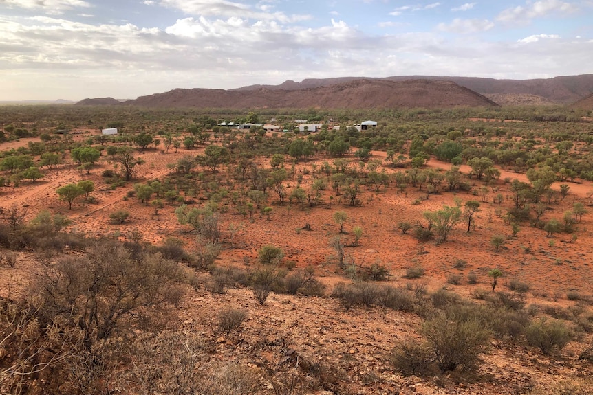 A photo of a cattle station in the NT