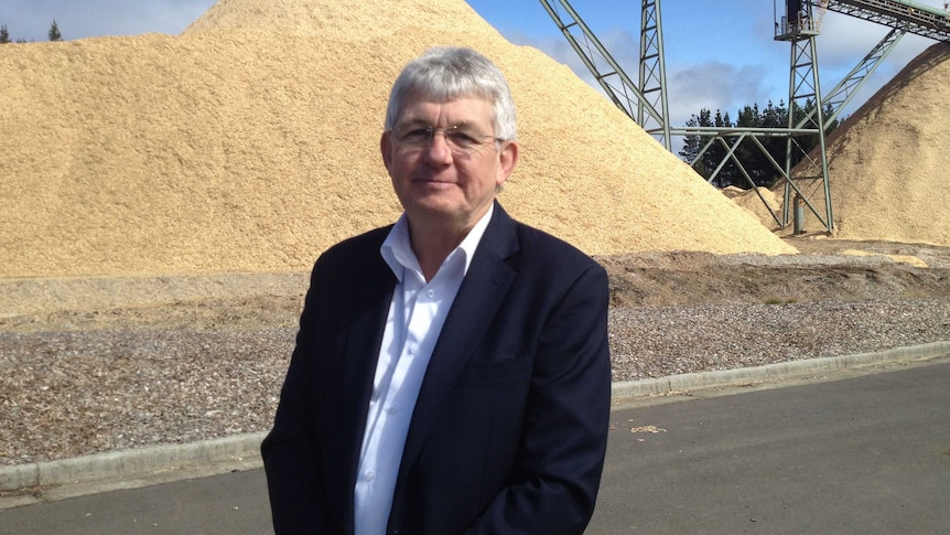 Forico CEO Bryan Hayes in front of a woodchip pile at the re-opened Hampshire mill
