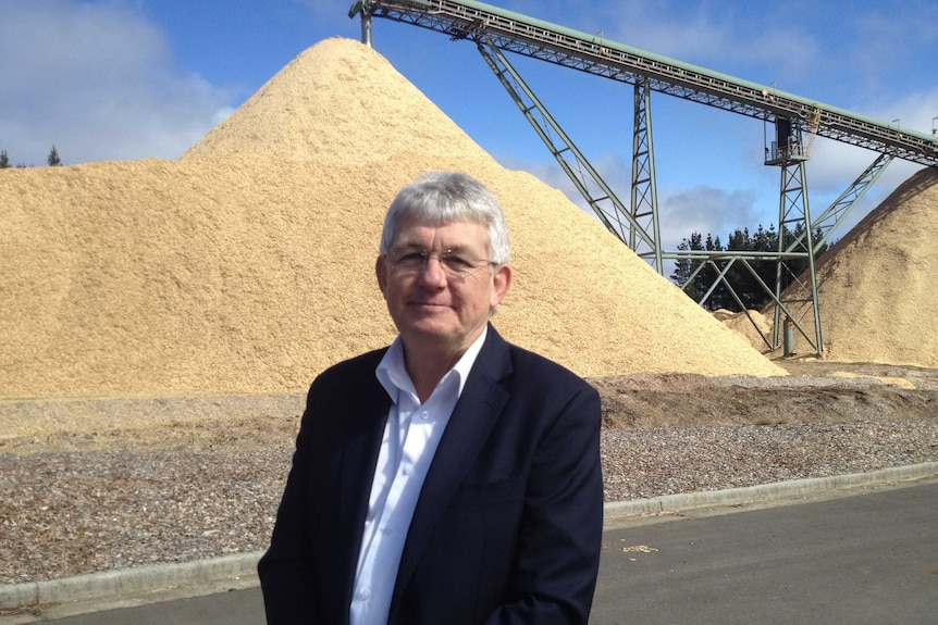 Bryan Hayes in front of a woodchip pile at the recently re-opened Hampshire mill