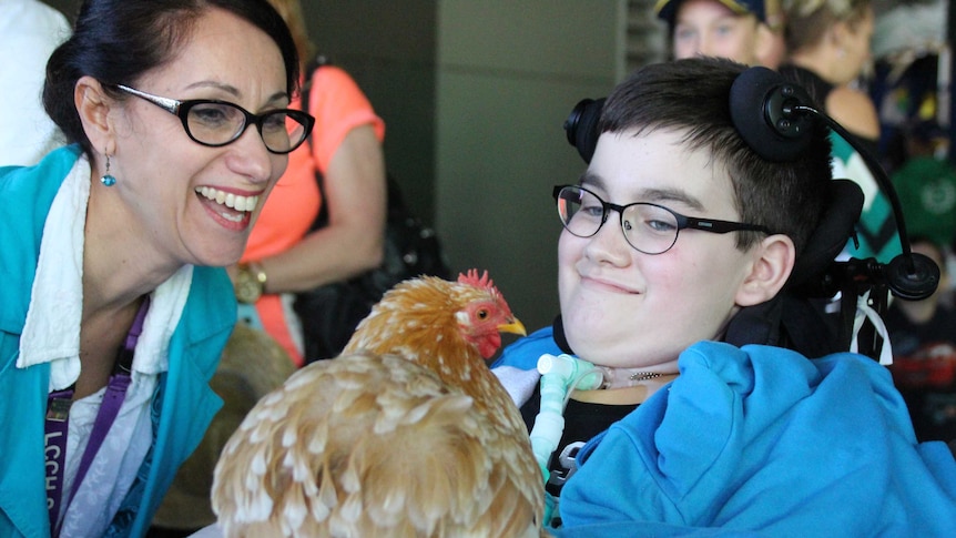 Sick children at the hospital got to play with the animals for their Ekka preview.