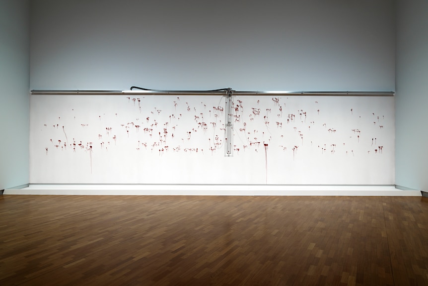 A gallery wall is coated in white chalk, with red ochre bleeding through as it is passed over by a writing machine.