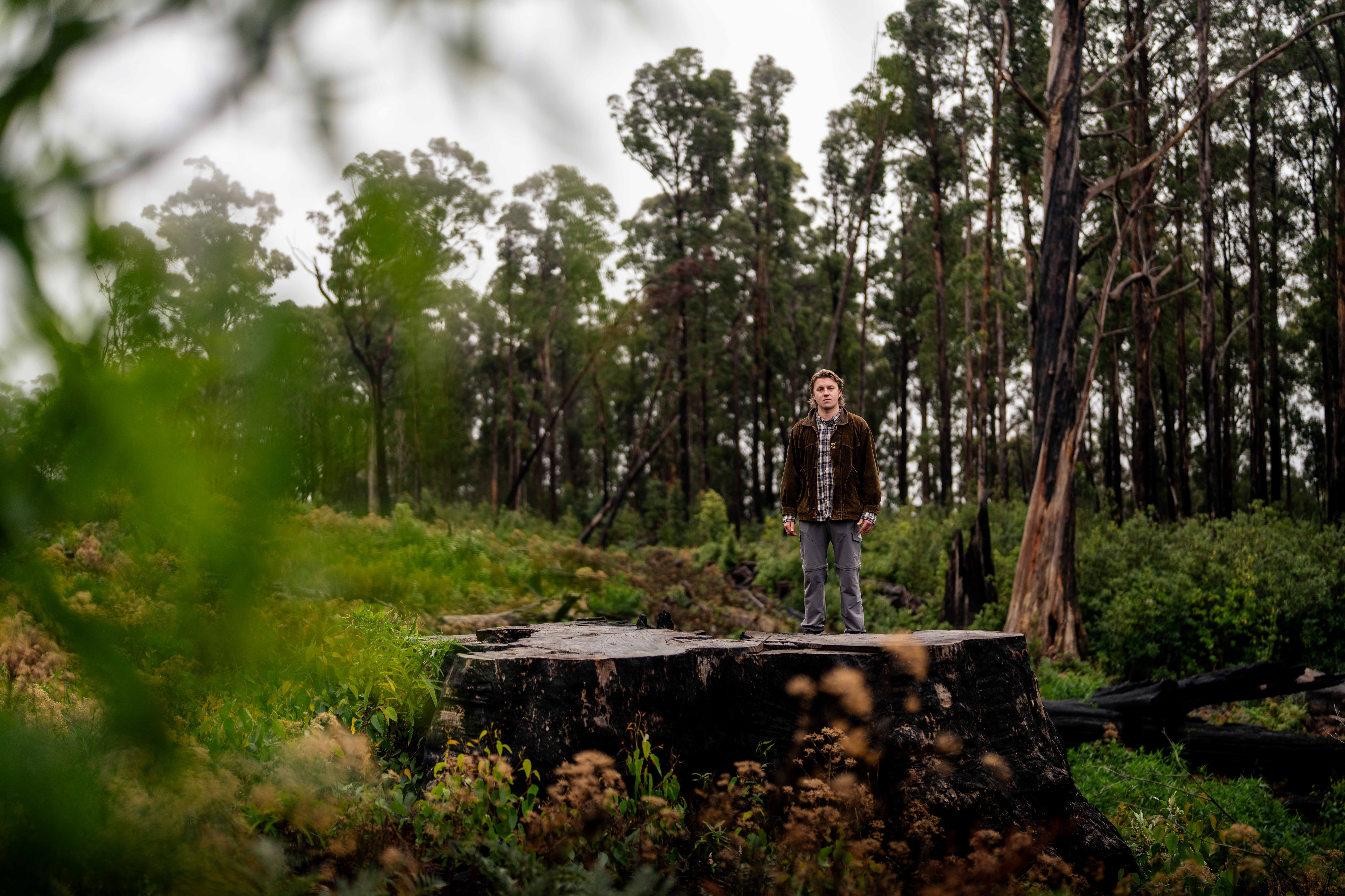 A young man stands on a large tree stump that's been cut down