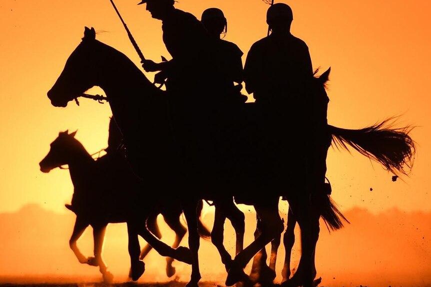 A game of polocrosse with the sun setting in the background.
