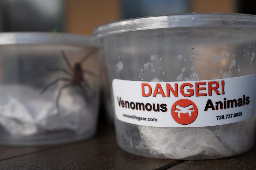A plastic container with a label warning of its venomous contents.