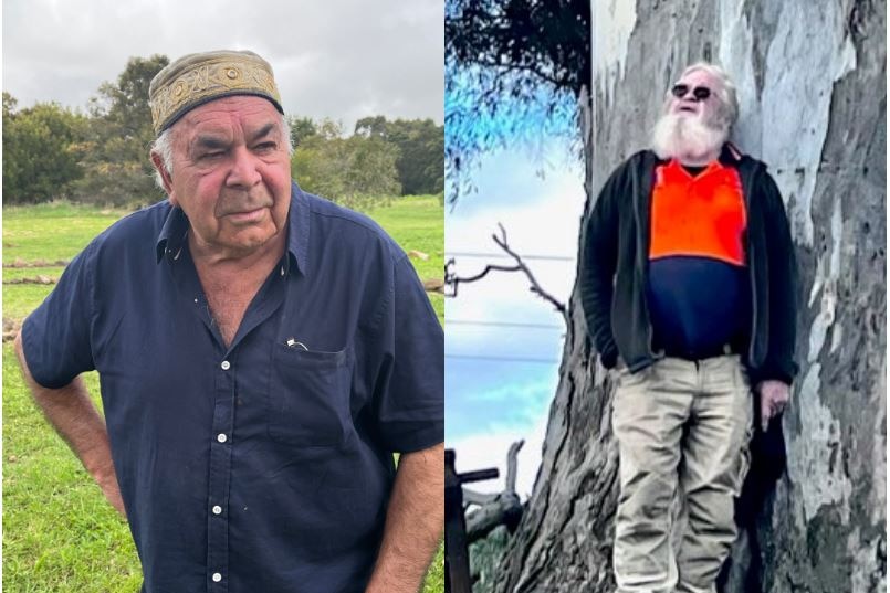 A composite picture of two men, one with a blue shirt on the left and one beside a tree on the right.