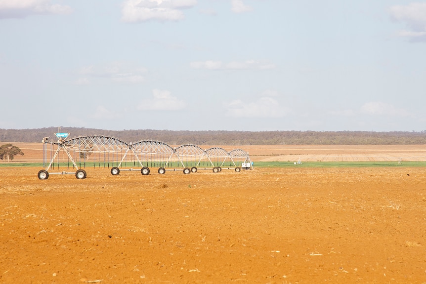 A centre pivot irrigation system near Acland in September 2019.