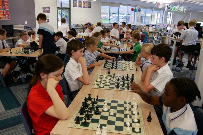 A large group of primary school students sit at tables playing chess inside a school library.