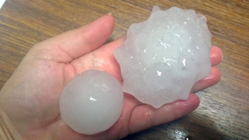 A woman holds golf-ball sized hail in the palm of her hand.