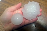 A woman holds golf-ball sized hail in the palm of her hand.