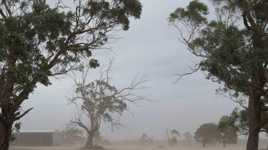 Dust storm moves through Seaspray farm