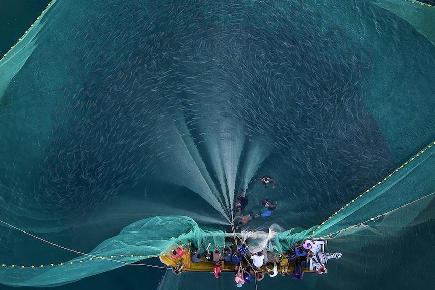Birds eye view of a fishing boat with a group of people in it and more people in the water holding a large fishing net