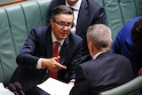 Shadow Energy Minister Mark Butler chats with Opposition Leader Bill Shorten during Question Time, pointing with his finger