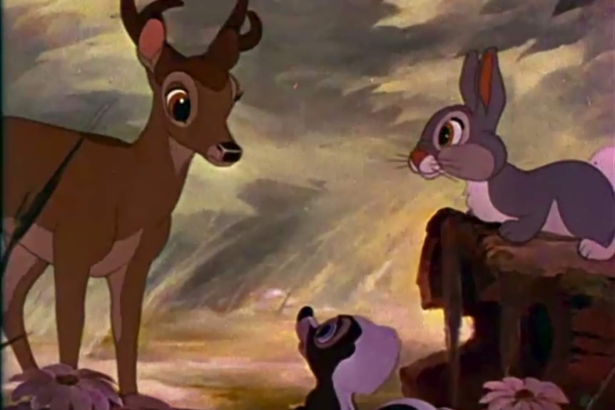 Missouri Poacher Forced To Repeatedly Watch Bambi While In Prison Abc
