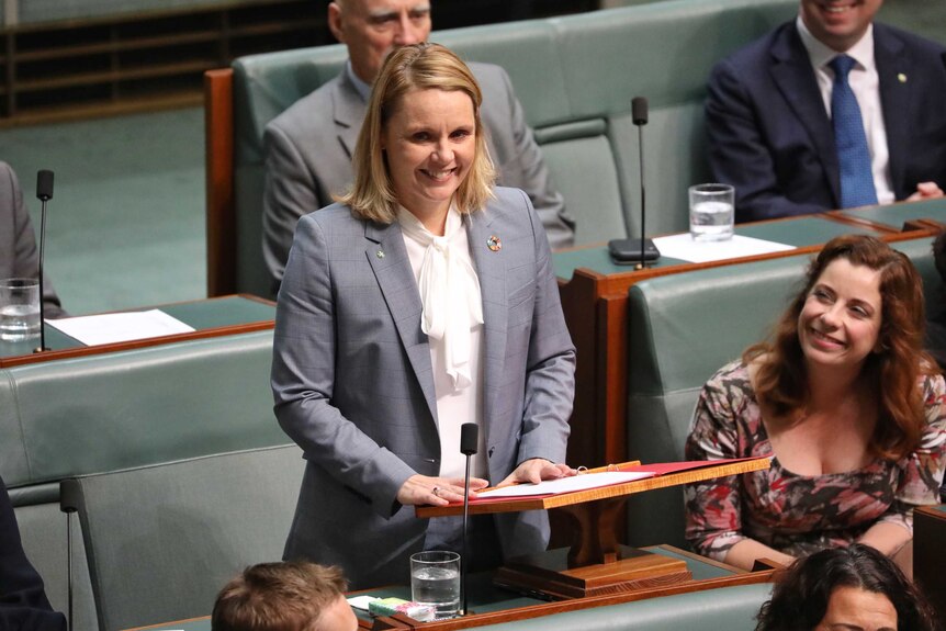 Labor MP Peta Murphy making a speech in Parliament