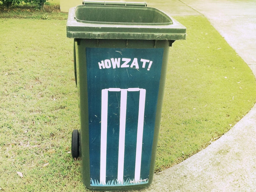 Wheelie bin cricket.