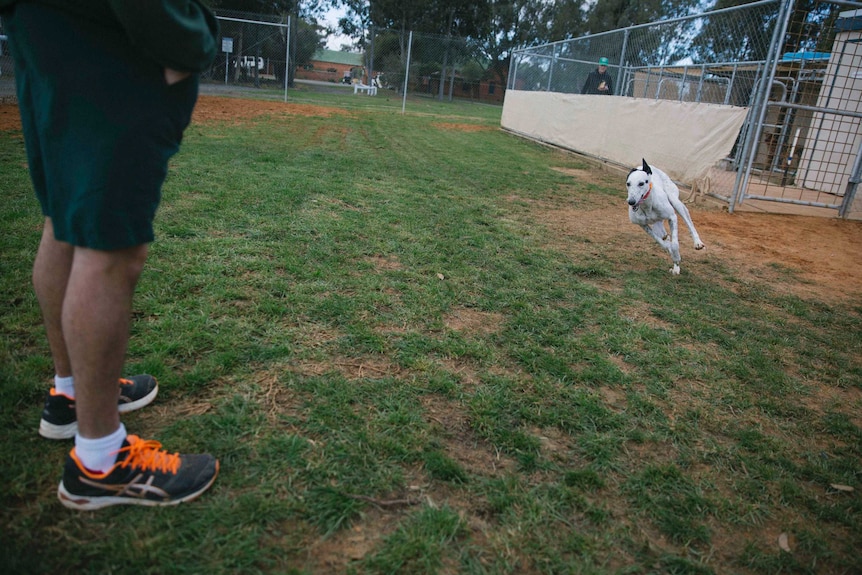 Jacqui bolts across prison yard